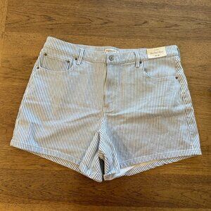 Abercrombie & Fitch Blue/White Striped Size: 34 Women's The Dad Short High Rise